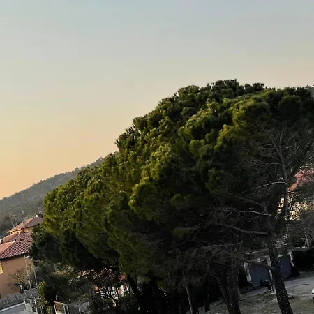 Da Lilia In Salute&bellezza Апартаменты Монфальконе